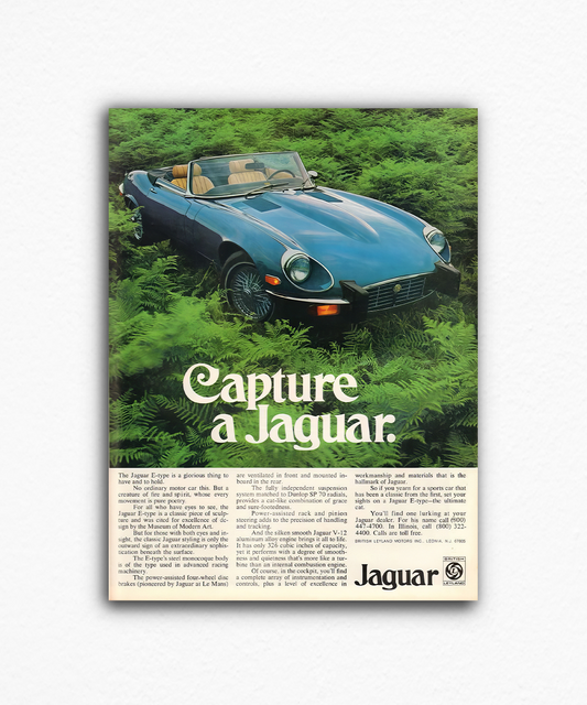 Capture a jaguar