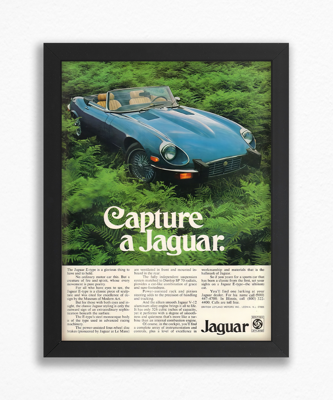 Capture a jaguar